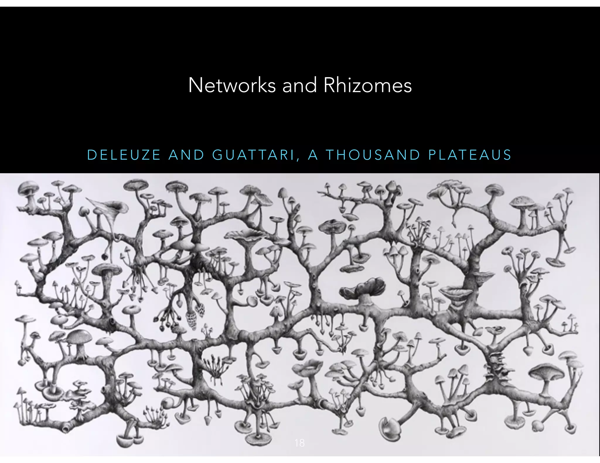 D E L E U Z E A N D G U AT TA R I , A T H O U S A N D P L AT E A U S
Networks and Rhizomes
18
 
