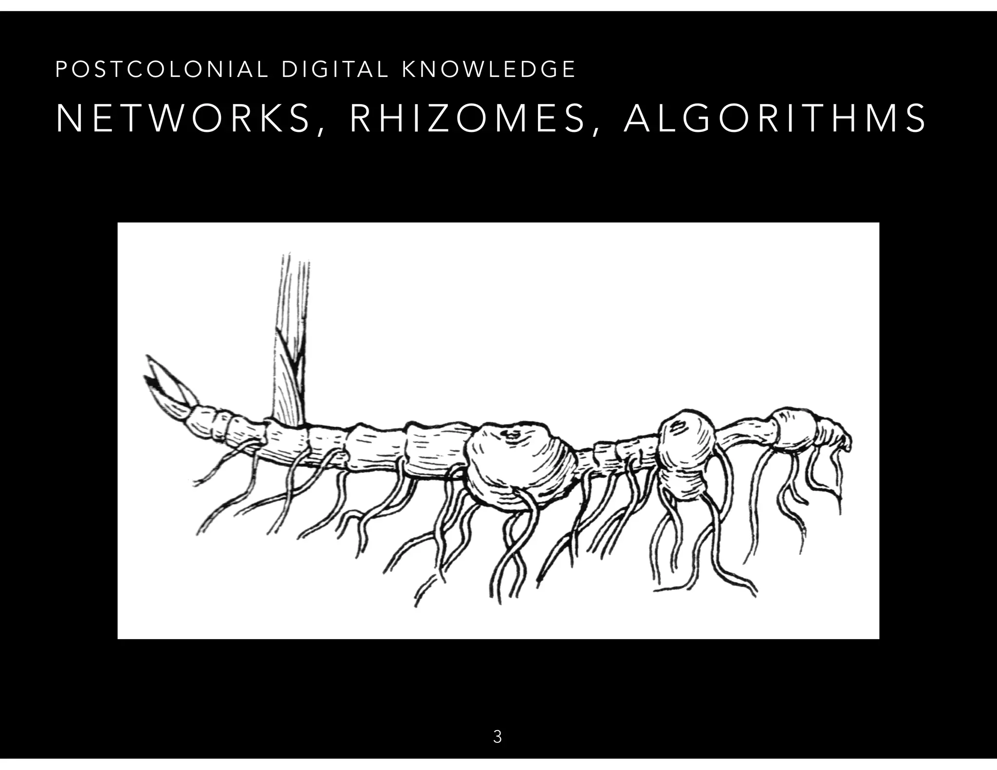 N E T W O R K S , R H I Z O M E S , A L G O R I T H M S
P O S T C O L O N I A L D I G I TA L K N O W L E D G E
3
 