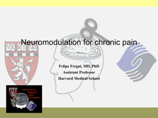 Laboratory for
Magnetic
Brain
Stimulation
Felipe Fregni, MD, PhD
Assistant Professor
Harvard Medical School
Neuromodulation for chronic pain
 
