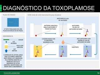 DIAGNÓSTICO DA TOXOPLAMOSE
16
ENSAIO IMUNOENZIMÁTICO (ELISA)
TOXOPLASMOSE
 