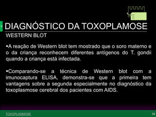 TOXOPLASMOSE
DIAGNÓSTICO DA TOXOPLAMOSE
19
WESTERN BLOT
A reação de Western blot tem mostrado que o soro materno e
o da criança reconhecem diferentes antígenos do T. gondii
quando a criança está infectada.
Comparando-se a técnica de Western blot com a
imunocaptura ELISA, demonstra-se que a primeira tem
vantagens sobre a segunda especialmente no diagnóstico da
toxoplasmose cerebral dos pacientes com AIDS.
 