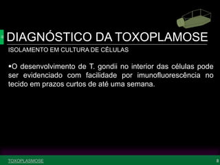 DIAGNÓSTICO DA TOXOPLAMOSE
8
ISOLAMENTO EM CULTURA DE CÉLULAS
O desenvolvimento de T. gondii no interior das células pode
ser evidenciado com facilidade por imunofluorescência no
tecido em prazos curtos de até uma semana.
TOXOPLASMOSE
 