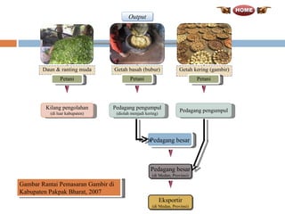 Output Petani Petani Kilang pengolahan (di luar kabupaten) Pedagang pengumpul (diolah menjadi kering) Pedagang pengumpul Pedagang besar Eksportir (di Medan, Provinsi) Gambar Rantai Pemasaran Gambir di Kabupaten Pakpak Bharat, 2007 Petani Pedagang besar (di Medan, Provinsi) Getah kering (gambir) Getah basah (bubur) Daun & ranting muda 