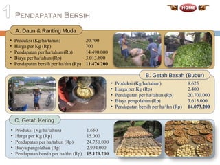 Pendapatan Bersih Produksi (Kg/ha/tahun) 20.700 Harga per Kg (Rp) 700 Pendapatan per ha/tahun  (Rp) 14.490.000 Biaya per ha/t a hun  (Rp) 3 .013.8 00 Pendapatan bersih  per ha/t hn (Rp) 1 1.476. 200 A. Daun & Ranting Muda Produksi (Kg/ha/tahun)  8.625 Harga per Kg (Rp)  2.400 Pendapatan per ha/tahun  (Rp)  20.700.000 Biaya  pengolahan (Rp)  3.613.000 Pendapatan bersih  per ha/t hn (Rp)   14.073. 200 B. Getah Basah (Bubur) C. Getah Kering Produksi (Kg/ha/tahun) 1.650 Harga per Kg (Rp) 15.000 Pendapatan per ha/tahun  (Rp) 24.750.000 Biaya  pengolahan (Rp) 2.994.000 Pendapatan bersih  per ha/t hn (Rp) 15.129. 200 