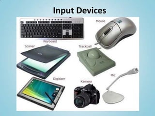 Input Devices
 