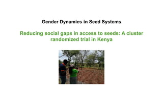 Gender Dynamics in Seed Systems
Reducing social gaps in access to seeds: A cluster
randomized trial in Kenya
 