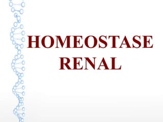 HOMEOSTASE
RENAL
 