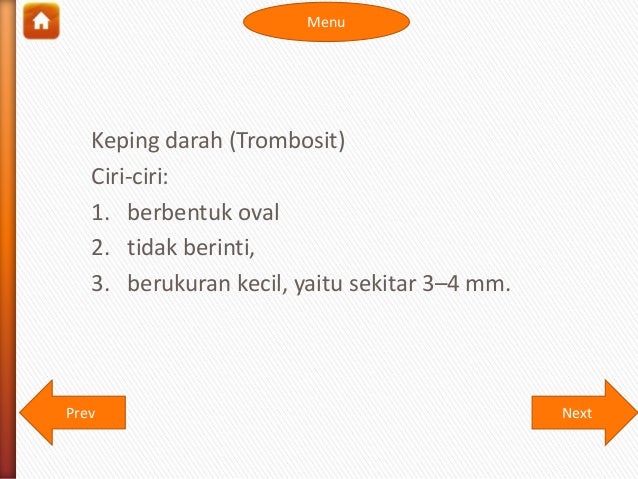 Sistem Peredaran Darah Manusia 15685654