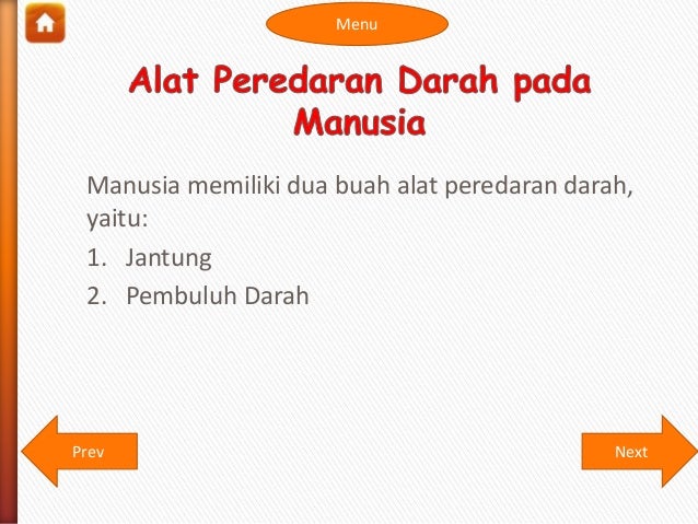 Sistem Peredaran Darah Manusia 15685654