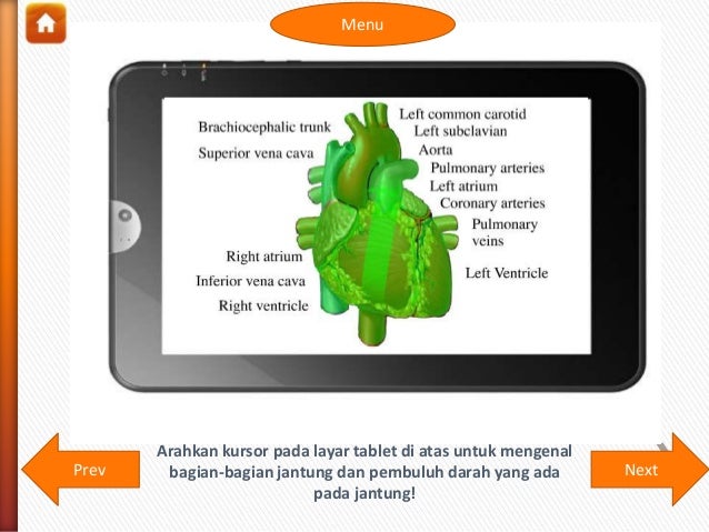 Sistem Peredaran Darah Manusia 15685654