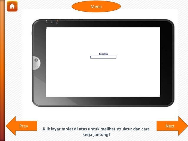 Sistem Peredaran Darah Manusia 15685654
