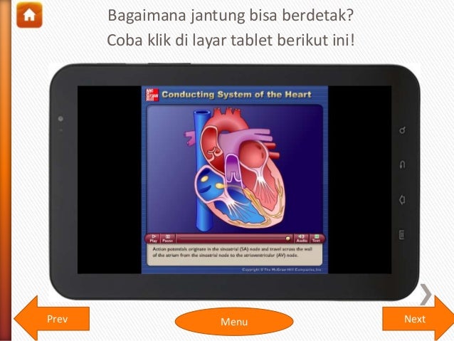 Sistem Peredaran Darah Manusia 15685654