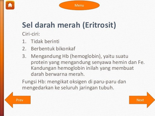 Sistem Peredaran Darah Manusia 15685654