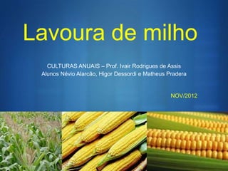 Lavoura de milho
   CULTURAS ANUAIS – Prof. Ivair Rodrigues de Assis
 Alunos Névio Alarcão, Higor Dessordi e Matheus Pradera


                                                 NOV/2012




                                                            S
 