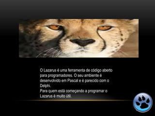 O Lazarus é uma ferramenta de código aberto
para programadores. O seu ambiente é
desenvolvido em Pascal e é parecido com o
Delphi.
Para quem está começando a programar o
Lazarus é muito útil.
 