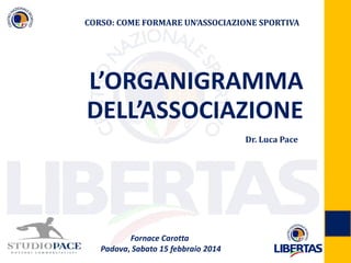 Fornace Carotta
Padova, Sabato 15 febbraio 2014
L’ORGANIGRAMMA
DELL’ASSOCIAZIONE
CORSO: COME FORMARE UN‘ASSOCIAZIONE SPORTIVA
Dr. Luca Pace
 