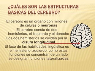 El cerebro es un órgano con millones
de células o neuronas
El cerebro consta de dos
hemisferios, el izquierdo y el derecho
Los dos hemisferios se dividen por la
cisura longitudinal
El foco de las habilidades lingüística es
el hemisferio izquierdo; como estas
funciones se concentran de un lado
se designan funciones lateralizadas