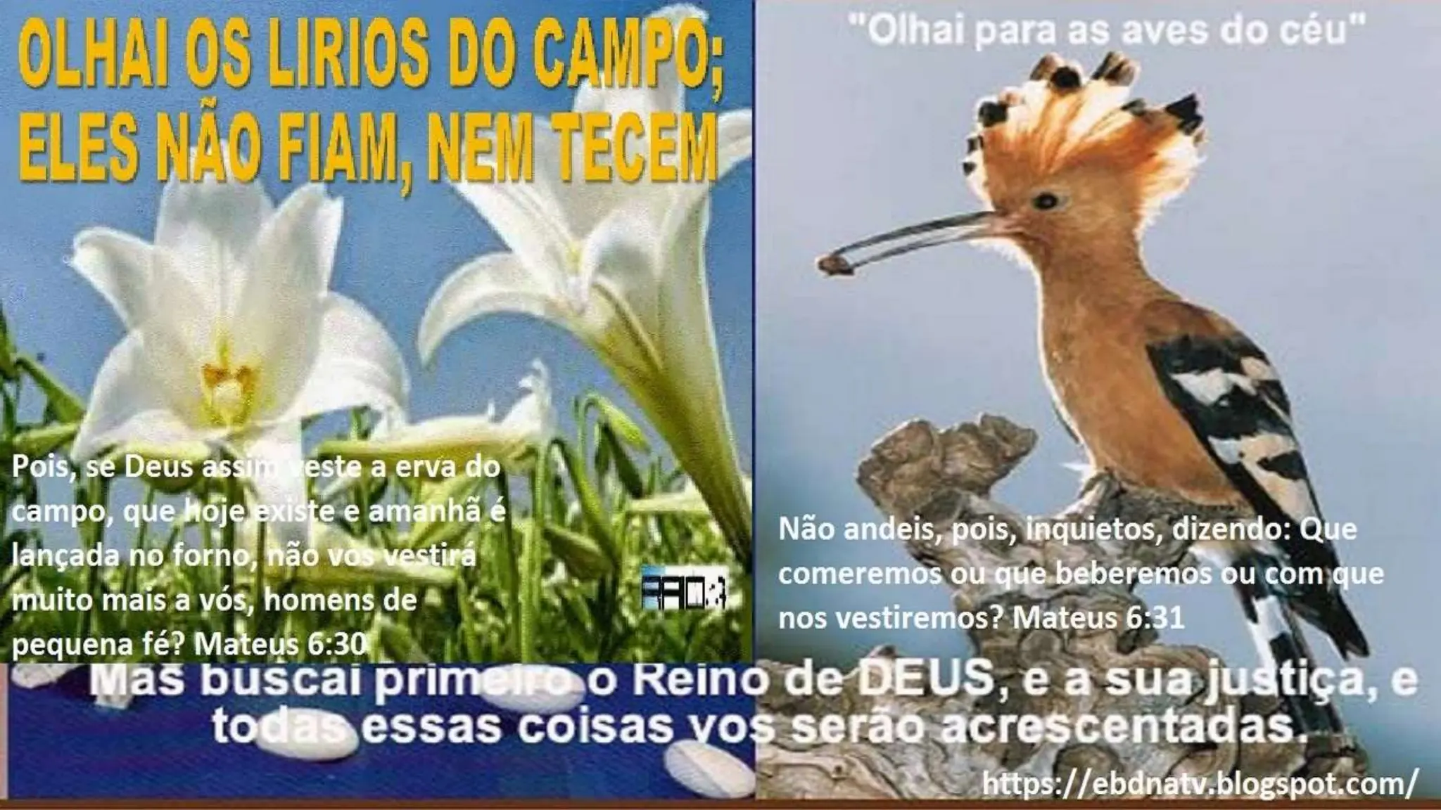 Slides Lição 14, Betel, O Verdadeiro Discípulo e sua saúde emocional,.pptx