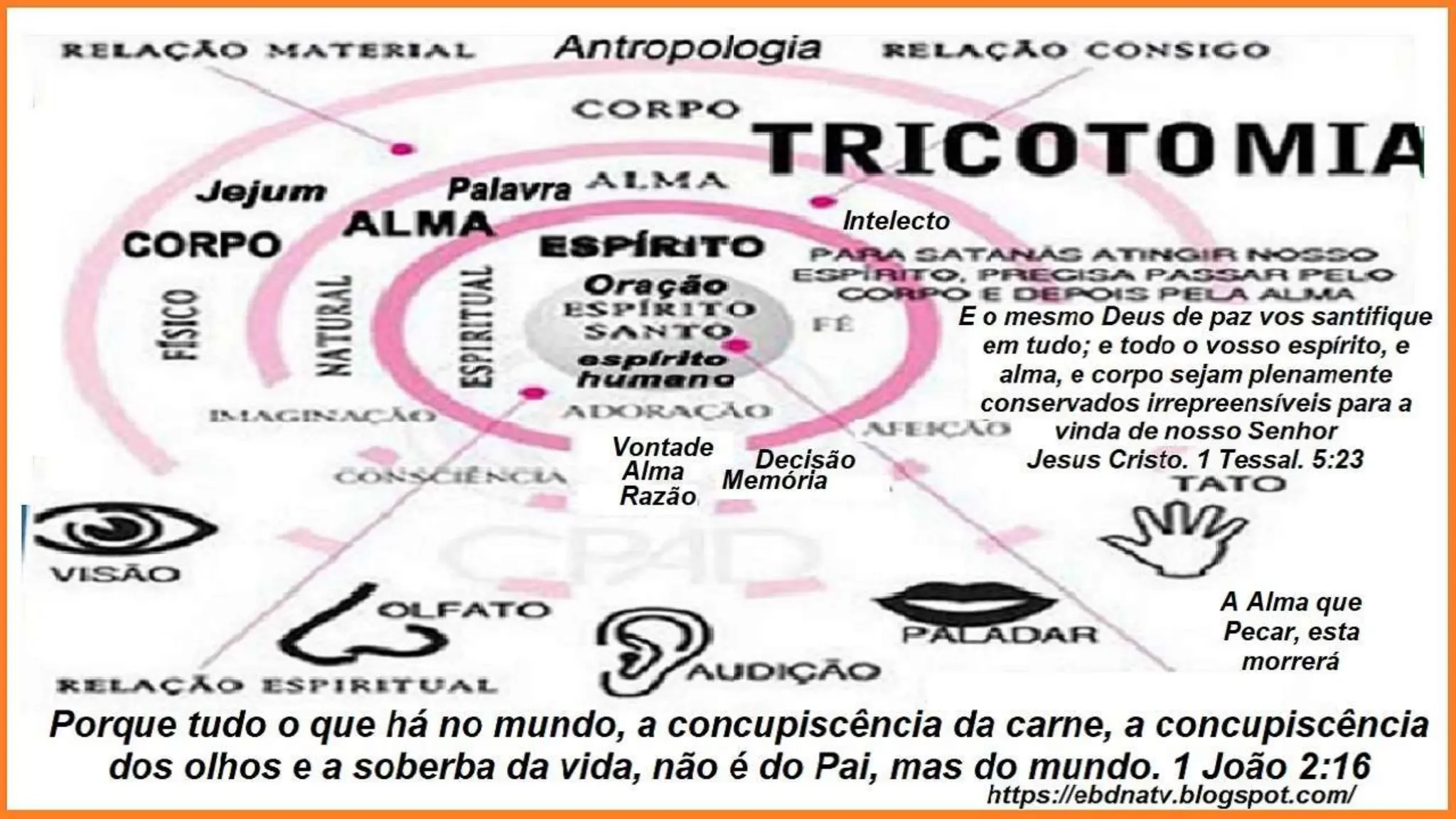 Slides Lição 14, Betel, O Verdadeiro Discípulo e sua saúde emocional,.pptx