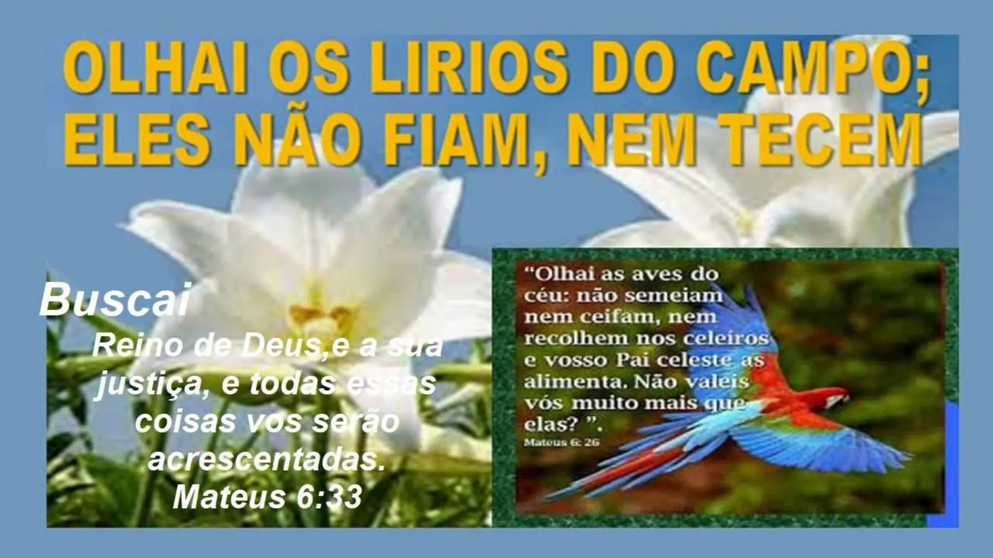 Slides Lição 4, CPAD, O Encontro de Rute com Boaz, 3Tr24.pptx