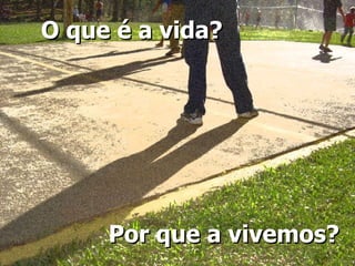 Por que a vivemos? O que é a vida? 