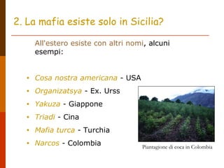 2. La mafia esiste solo in Sicilia?
All'estero esiste con altri nomi, alcuni
esempi:
• Cosa nostra americana - USA
• Organizatsya - Ex. Urss
• Yakuza - Giappone
• Triadi - Cina
• Mafia turca - Turchia
• Narcos - Colombia Piantagione di coca in Colombia
 