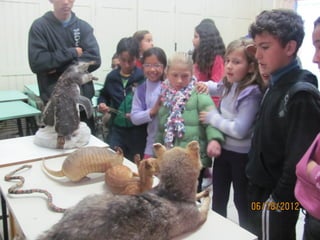 Slides mais educação joão evangelista