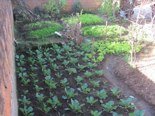 Slides mais educação joão evangelista