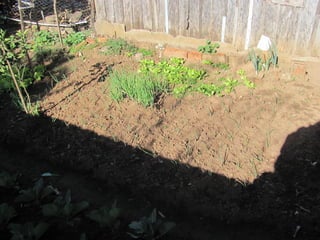 Slides mais educação joão evangelista