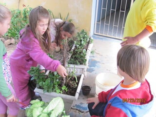 Slides mais educação joão evangelista