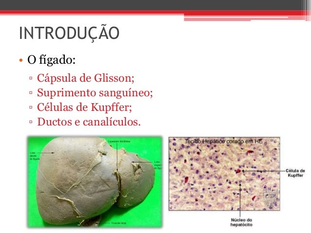 Métodos de remoção de sardas de uma cara