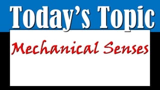 Today’s Topic
Mechanical Senses
 
