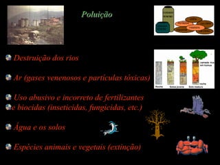 Poluição




Destruição dos rios

Ar (gases venenosos e partículas tóxicas)

 Uso abusivo e incorreto de fertilizantes
e biocidas (inseticidas, fungicidas, etc.)

Água e os solos

Espécies animais e vegetais (extinção)
 