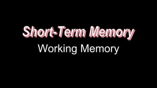 Working Memory
 