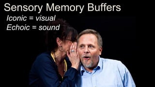 Sensory Memory Buffers
Iconic = visual
Echoic = sound
 