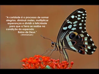 "A caridade é o processo de somar alegrias, diminuir males, multiplicar esperanças e dividir a felicidade para que a Terra se realize na condição do esperado  Reino de Deus." ( Emmanuel )  