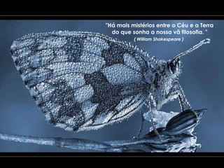 "Há mais mistérios entre o Céu e a Terra do que sonha a nossa vã filosofia. " ( William Shakespeare )   