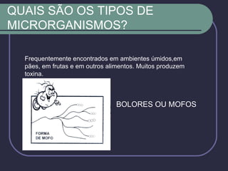 QUAIS SÃO OS TIPOS DE
MICRORGANISMOS?
BOLORES OU MOFOS
Frequentemente encontrados em ambientes úmidos,em
pães, em frutas e em outros alimentos. Muitos produzem
toxina.
 