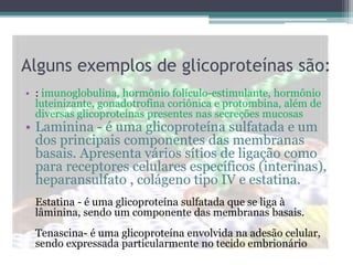 Alguns exemplos de glicoproteínas são:
• : imunoglobulina, hormônio folículo-estimulante, hormônio
luteinizante, gonadotrofina coriônica e protombina, além de
diversas glicoproteínas presentes nas secreções mucosas
• Laminina - é uma glicoproteína sulfatada e um
dos principais componentes das membranas
basais. Apresenta vários sítios de ligação como
para receptores celulares específicos (interinas),
heparansulfato , colágeno tipo IV e estatina.
Estatina - é uma glicoproteína sulfatada que se liga à
lâminina, sendo um componente das membranas basais.
Tenascina- é uma glicoproteína envolvida na adesão celular,
sendo expressada particularmente no tecido embrionário
 