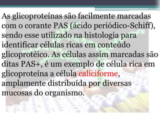 As glicoproteínas são facilmente marcadas
com o corante PAS (ácido periódico-Schiff),
sendo esse utilizado na histologia para
identificar células ricas em conteúdo
glicoprotéico. As células assim marcadas são
ditas PAS+, é um exemplo de célula rica em
glicoproteína a célula caliciforme,
amplamente distribuída por diversas
mucosas do organismo.
 