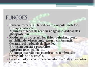 FUNÇÕES:
• Função: estrutural, lubrificante e agente protetor,
transportado, etc.
Algumas funções das cadeias oligossacaridicas das
glicoproteinas
• Modulam as propriedades físico-químicas, como
solubilidade, viscosidade, garga, conformação,
desnaturação e locais de ligação.
Protegem contra a proteólise.
Exercem ações biológicas
Afetam a inserção nas membranas, a migração
intracelular e a secreção.
• São mediadoras da interação entre as células e a matriz
extracelular.
 