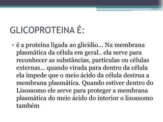 GLICOPROTEINA É:
• é a proteína ligada ao glicídio... Na membrana
plasmática da célula em geral.. ela serve para
reconhecer as substâncias, partículas ou células
externas... quando virada para dentro da célula
ela impede que o meio ácido da célula destrua a
membrana plasmática. Quando estiver dentro do
Lisossomo ele serve para proteger a membrana
plasmática do meio ácido do interior o lisossomo
também
 