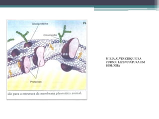 MIRIA ALVES CIRQUEIRA
CURSO : LICENCIATURA EM
BIOLOGIA
 