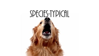 Species-Typical