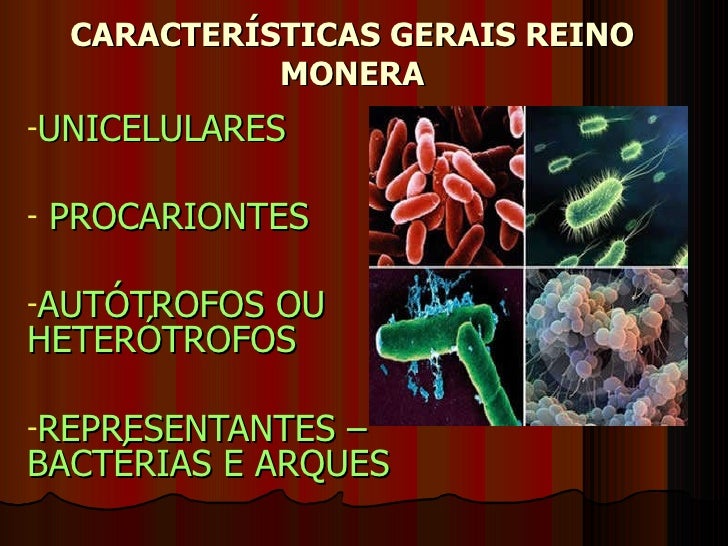 Cite Características Dos Organismos Do Reino Monera