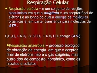 Respiração Celular Respiração aeróbia  – é um conjunto de reações  bioquímicas  em que o  oxigênio  é um aceptor final de elétrons e ao longo do qual a  energia  de  moléculas  orgânicas é, em parte, transferida para moléculas de  ATP  . C 6 H 12 O 6  + 6 O 2   -> 6 CO 2   + 6 H 2  O + energia ( ATP )‏ Respiração anaeróbia  – processo biológico de obtenção de energia  em que o aceptor  final de elétrons não é o gás oxigênio, mas outro tipo de composto inorgânico, como os nitratos e sulfatos 