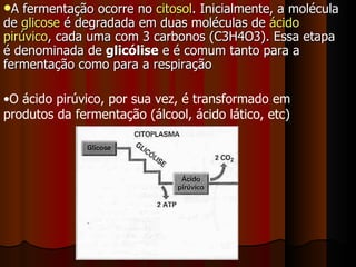 A fermentação ocorre no  citosol . Inicialmente, a molécula de  glicose  é degradada em duas moléculas de  ácido pirúvico , cada uma com 3 carbonos (C3H4O3). Essa etapa é denominada de  glicólise  e é comum tanto para a fermentação como para a respiração   O ácido pirúvico, por sua vez, é transformado em produtos da fermentação (álcool, ácido lático, etc)‏ 