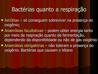 Bactérias quanto a respiração Aeróbias  – só conseguem sobreviver na presença do oxigênio; Anaeróbias facultativas  – podem obter energia tanto por meio da respiração quanto da fermentação, dependendo da disponibilidade ou não de gás oxigênio Anaeróbias obrigatórias  – não toleram a presença do oxigênio. Bactérias que causam o tétano 