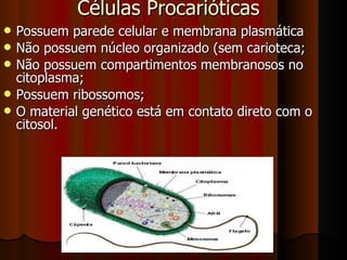 Células Procarióticas Possuem parede celular e membrana plasmática Não possuem núcleo organizado (sem carioteca; Não possuem compartimentos membranosos no citoplasma; Possuem ribossomos; O material genético está em contato direto com o citosol. 