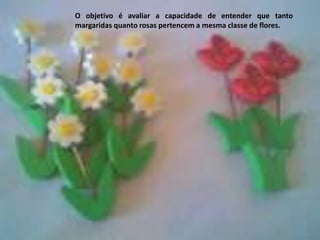 O objetivo é avaliar a capacidade de entender que tanto
margaridas quanto rosas pertencem a mesma classe de flores.
 